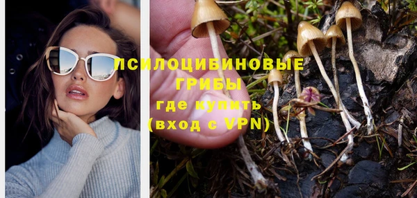 spice Алексин
