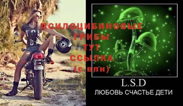 ешки Алексеевка