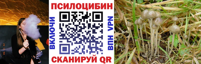 Галлюциногенные грибы MAGIC MUSHROOMS  OMG ссылка  дарк нет формула  Неман 