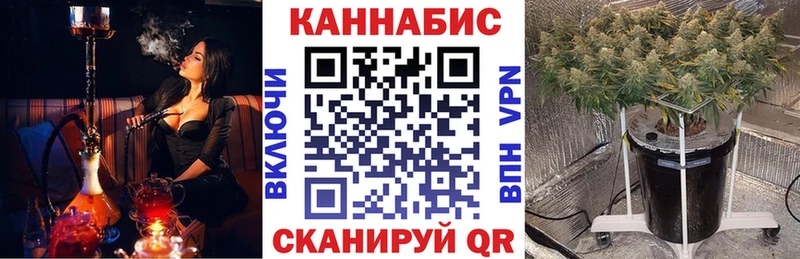 мега зеркало  Неман  Каннабис индика 